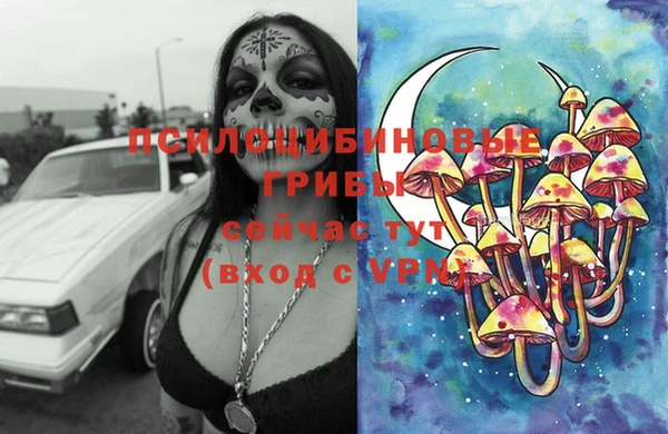 шишки Беломорск