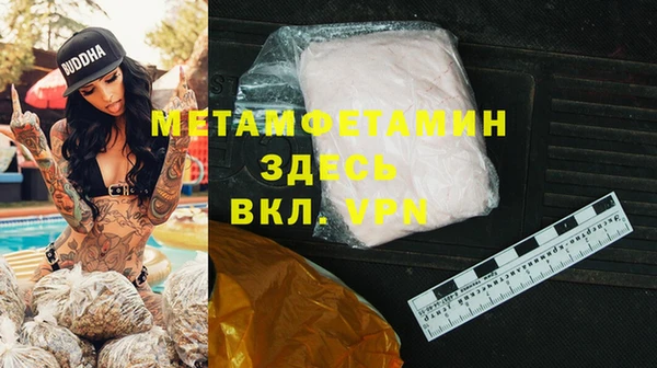 хмурый Белокуриха