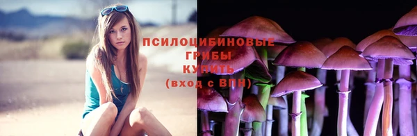 хмурый Белокуриха