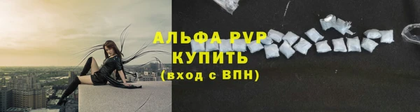 шишки Беломорск