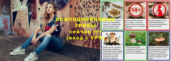 шишки Беломорск