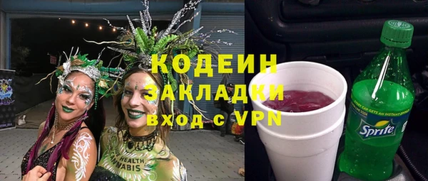 хмурый Белокуриха