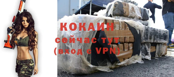 шишки Беломорск