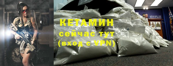 хмурый Белокуриха