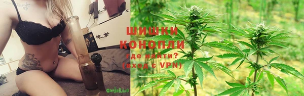 молекула духа Снежногорск
